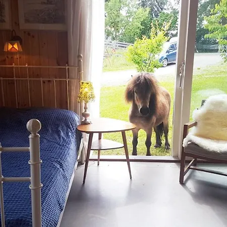 Drengestua Pa Flagstad Ostre