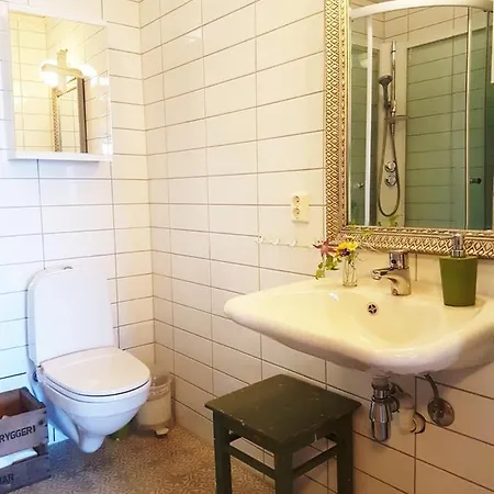 Drengestua Pa Flagstad Ostre Hamar (Hedmark)