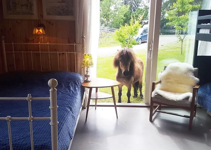 Drengestua Pa Flagstad Ostre