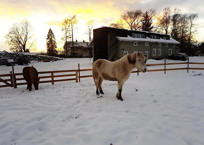 Apartment Drengestua Pa Flagstad Ostre Hamar (Hedmark)